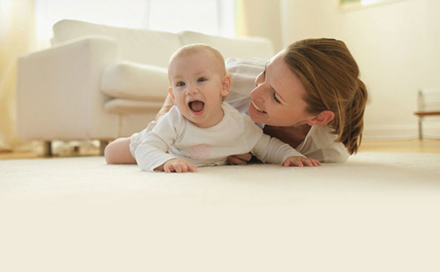 Carpet Cleaning & storage